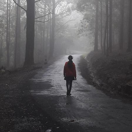Ohiya Jungle Resort エクステリア 写真