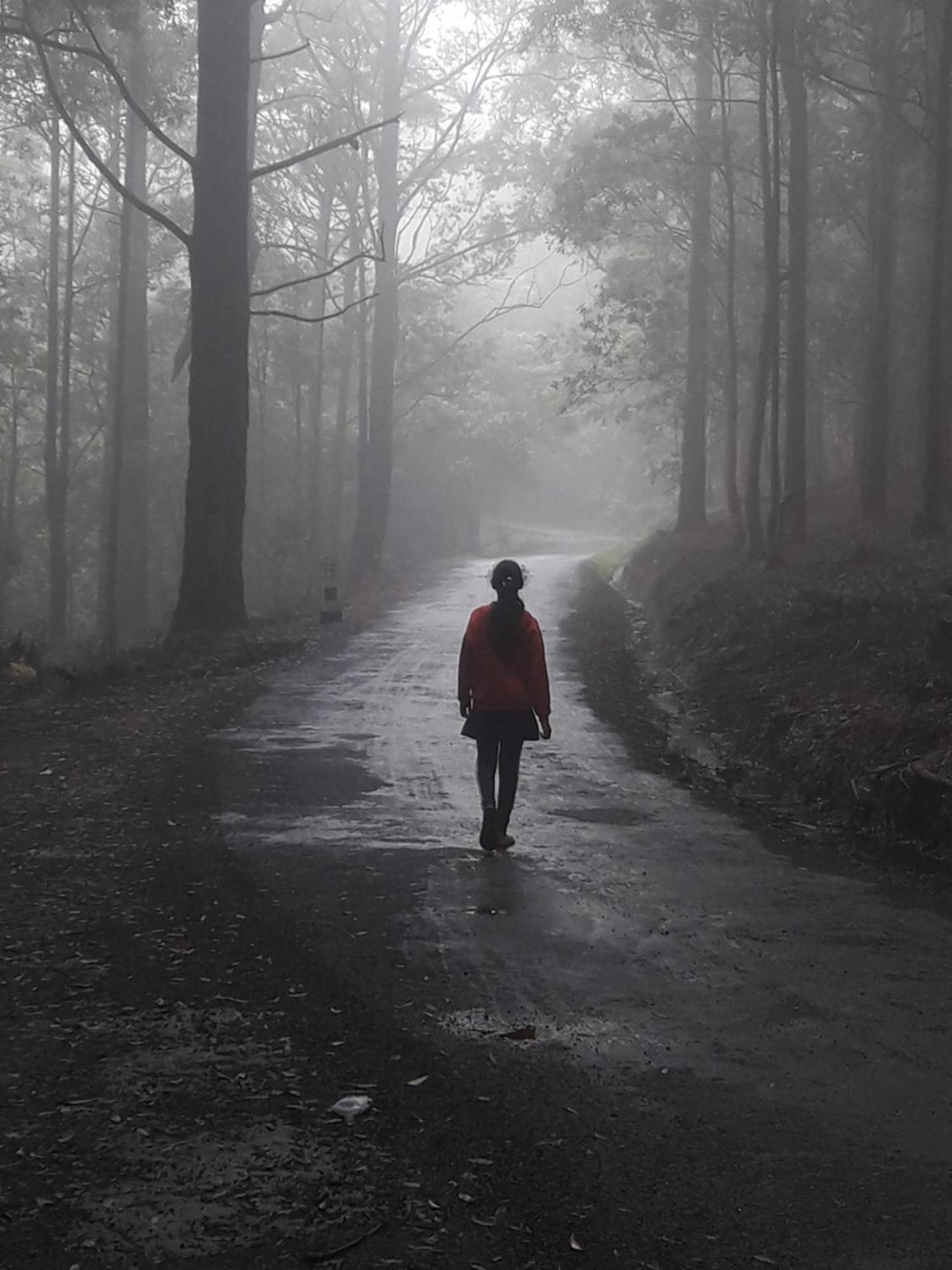 Ohiya Jungle Resort エクステリア 写真