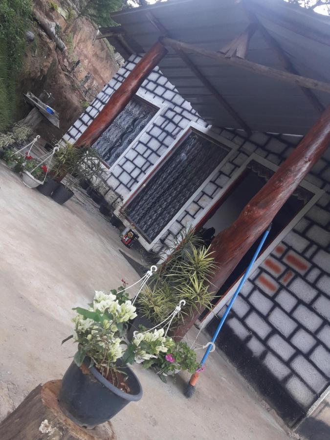 Ohiya Jungle Resort エクステリア 写真