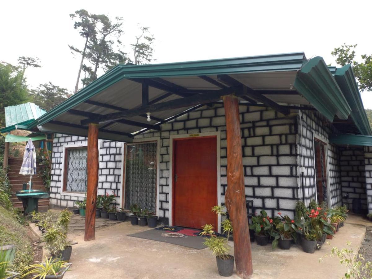 Ohiya Jungle Resort エクステリア 写真
