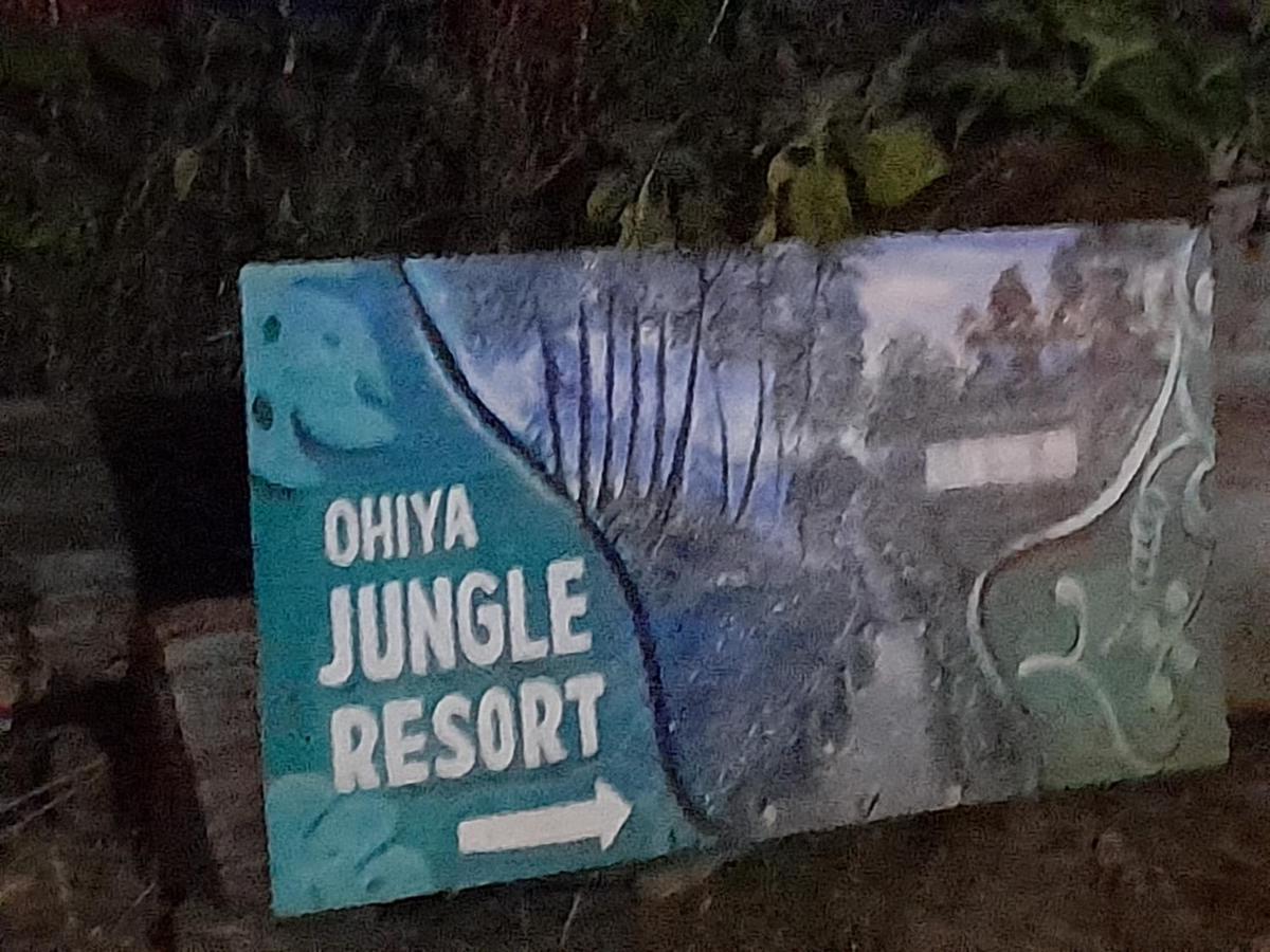 Ohiya Jungle Resort エクステリア 写真