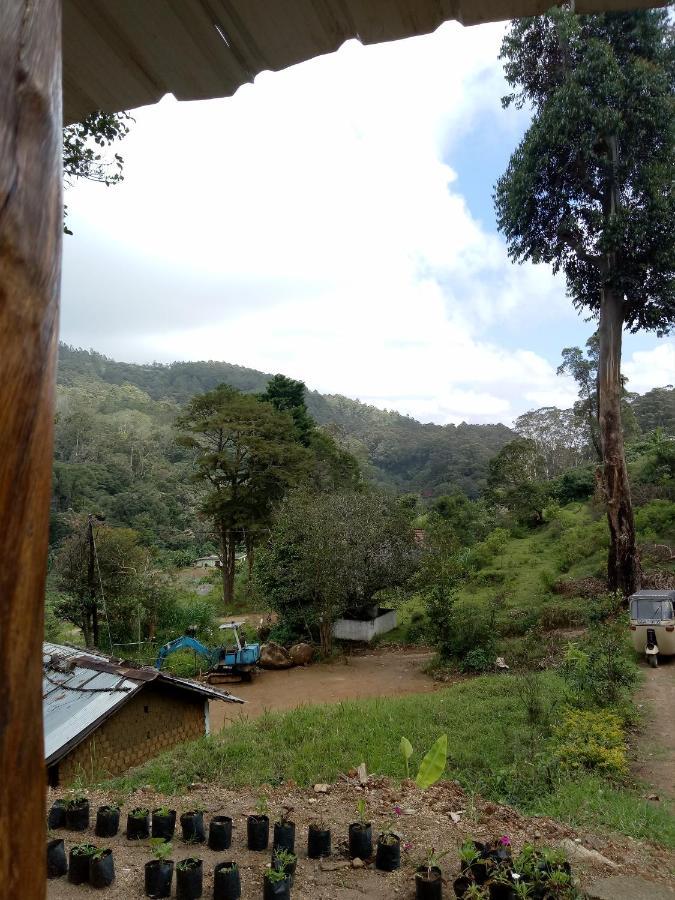 Ohiya Jungle Resort エクステリア 写真